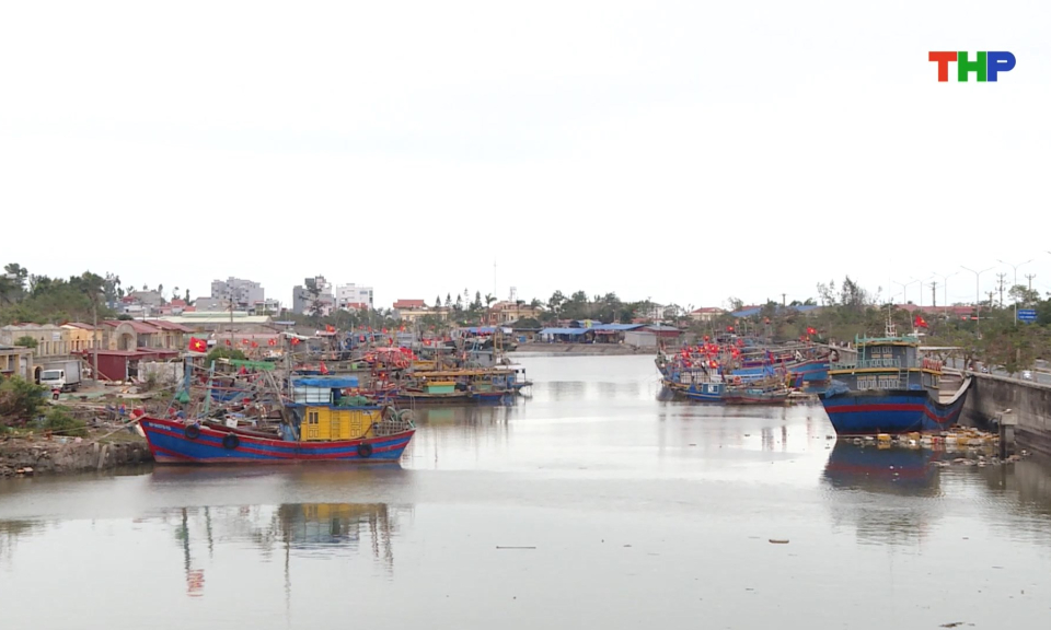 Tăng cường chống khai th&aacute;c thủy sản bất hợp ph&aacute;p (IUU)