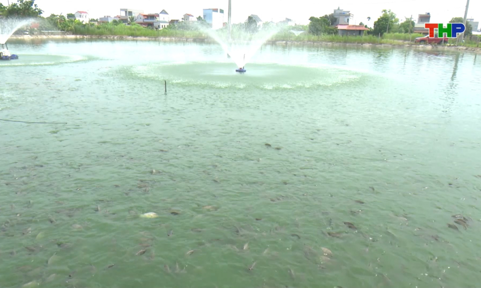 Ứng dụng khoa học c&ocirc;ng nghệ trong sản xuất n&ocirc;ng nghiệp