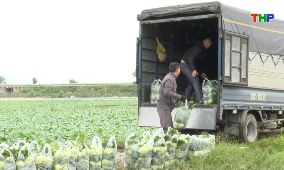 10 phút vàng (07/11/2025)