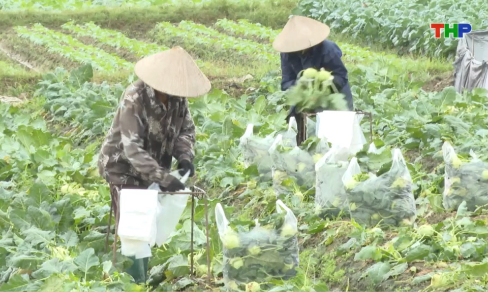 Bản tin thời sự sáng (08/11/2025)