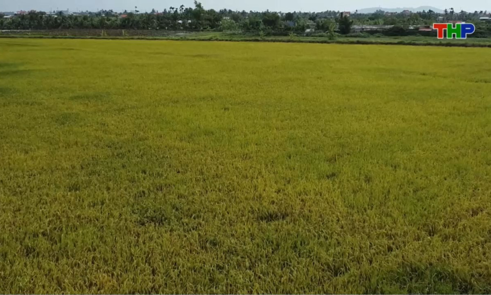 Bản tin thời sự trưa (09/11/2025)