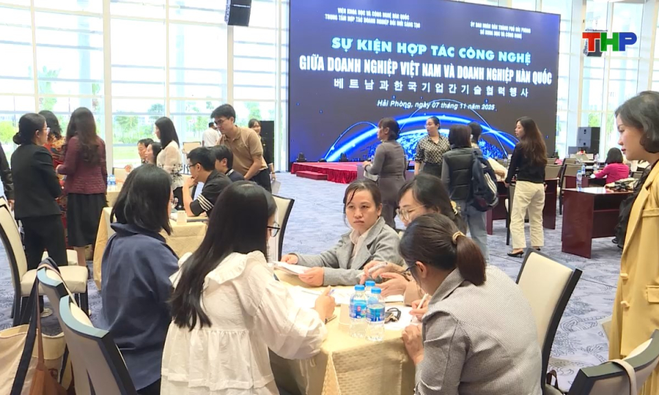 Bản tin tiếng Trung - 海防新闻 (08/11/2025)