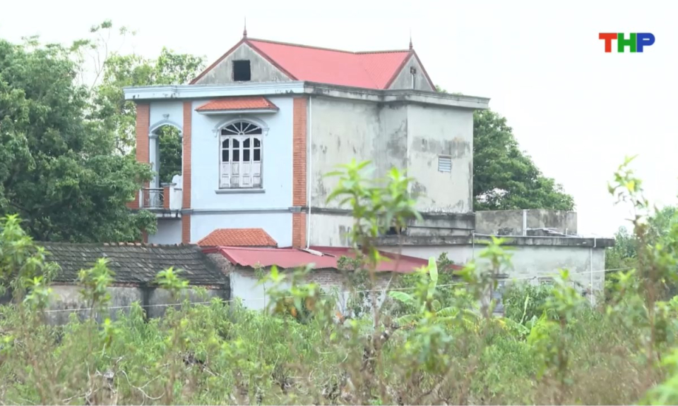 10 phút vàng (11/11/2025)