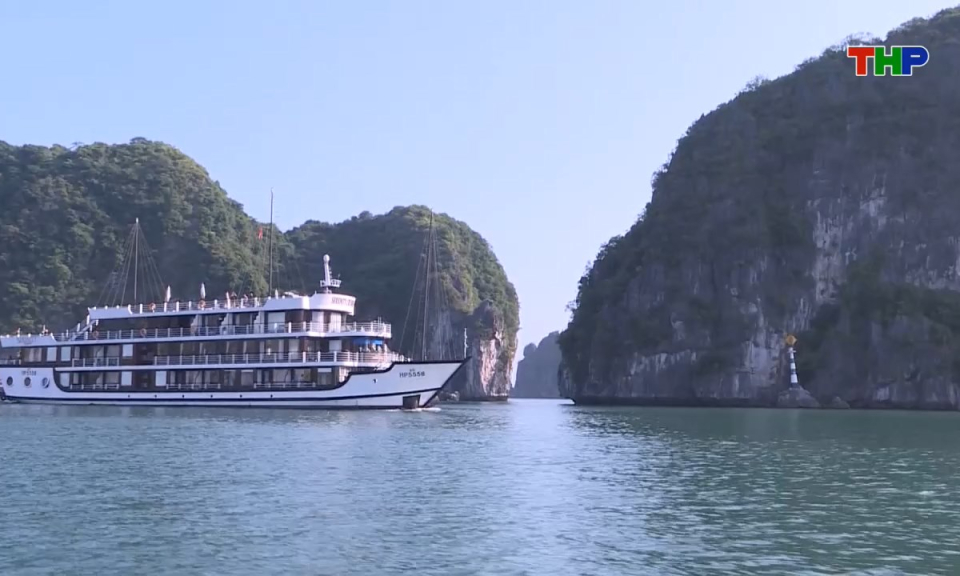 Bản tin tiếng Anh - Hai Phong News (11/11/2025)