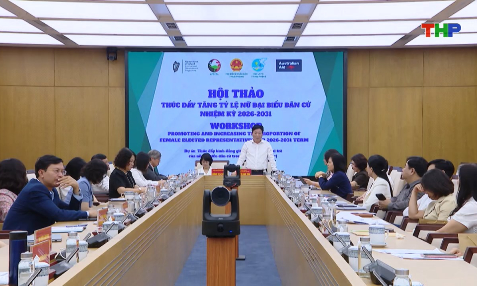 Bản tin tiếng Trung - 海防新闻 (11/11/2025)