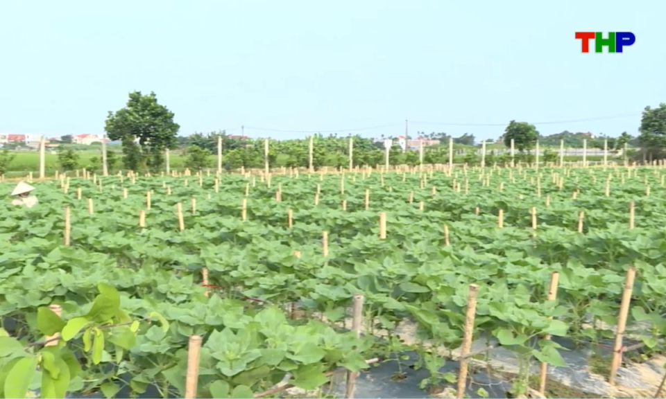 Bản tin thời sự s&aacute;ng (16/11/2025)