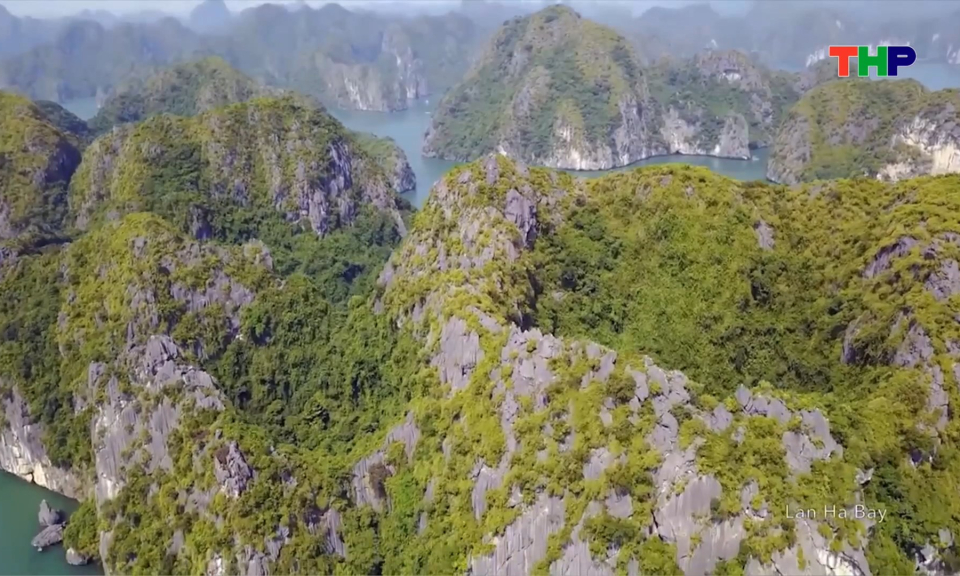 Ph&aacute;t triển du lịch C&aacute;t B&agrave; theo định hướng xanh, bền vững