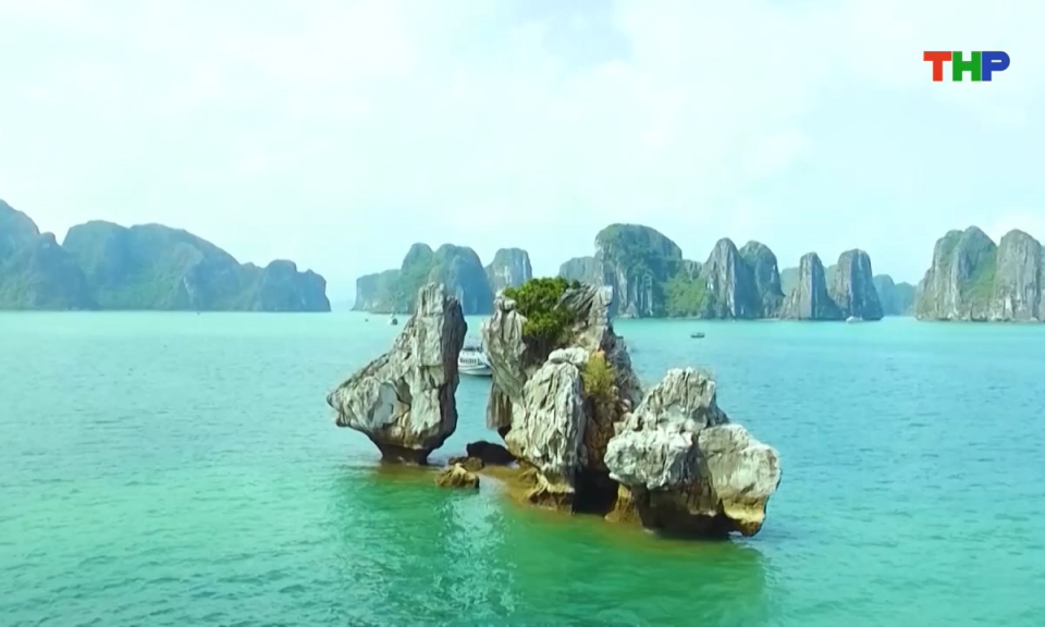 Bản tin tiếng Trung - 海防新闻 (16/11/2025)