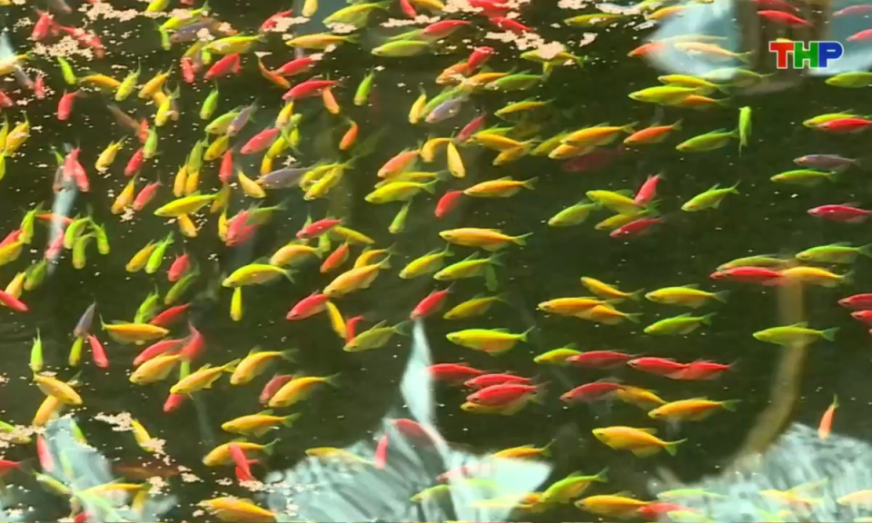 10 ph&uacute;t v&agrave;ng (16/11/2025)