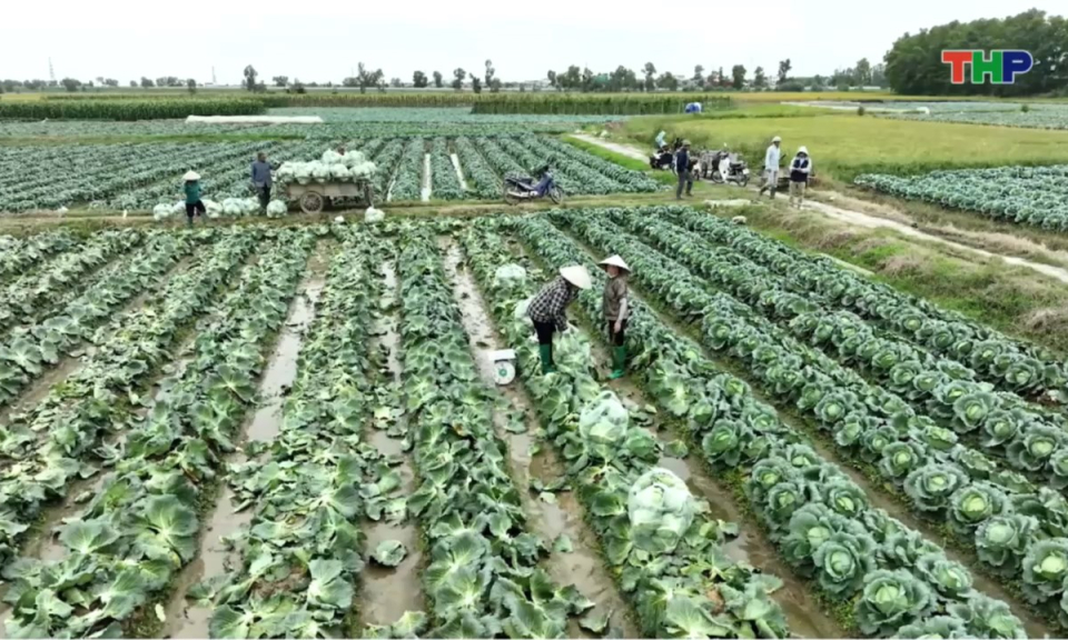 Bản tin thời sự tối (16/11/2025)