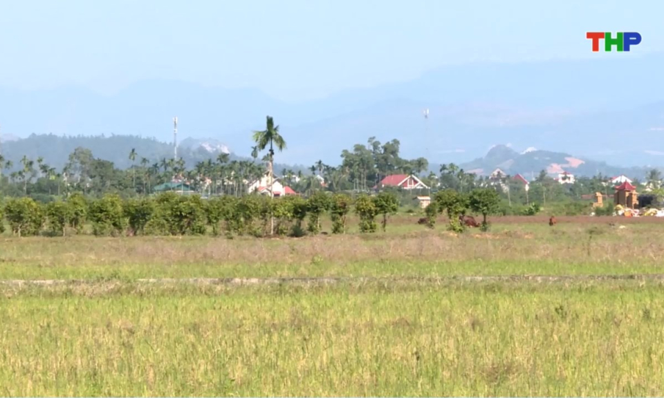 Bản tin thời sự s&aacute;ng (18/11/2025)