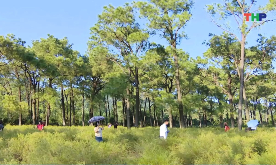 Bản tin thời sự tối (17/11/2025)