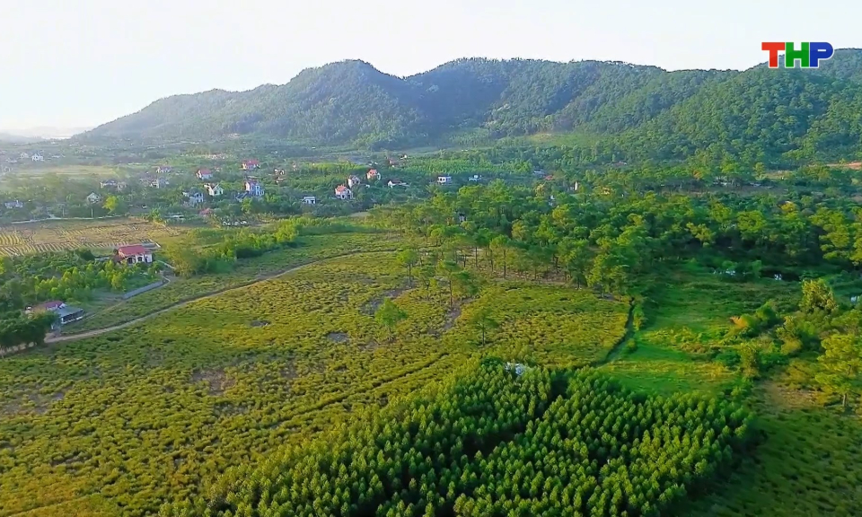 B&atilde;i Rễ - Điểm check-in m&ugrave;a thu độc đ&aacute;o tại Hải Ph&ograve;ng