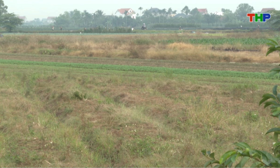 Bản tin thời sự trưa (19/11/2025)