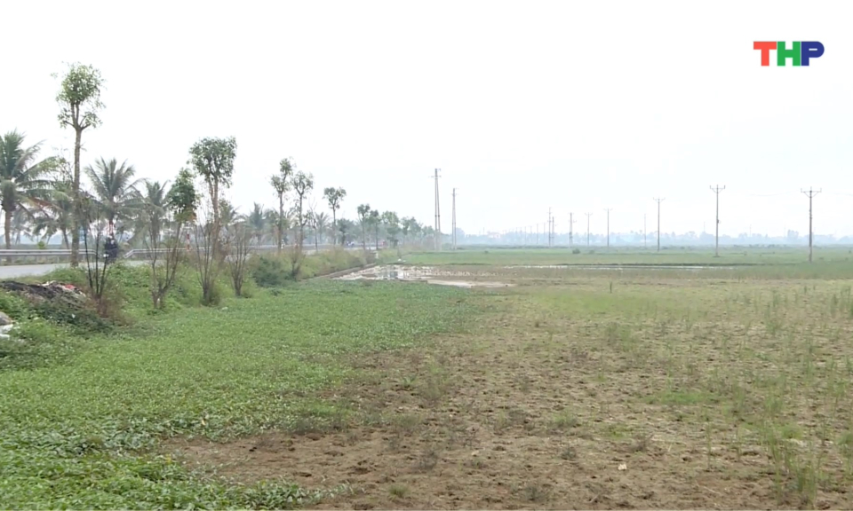 Bảo đảm tiến độ dự &aacute;n khu c&ocirc;ng nghiệp Vinh Quang