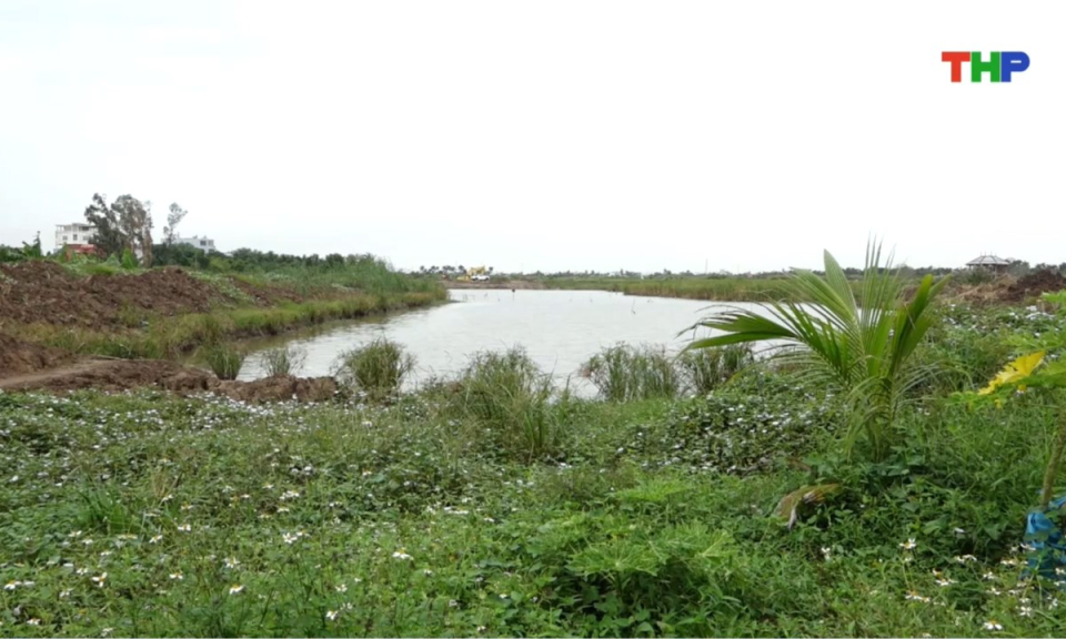 Bản tin thời sự trưa (25/11/2025)