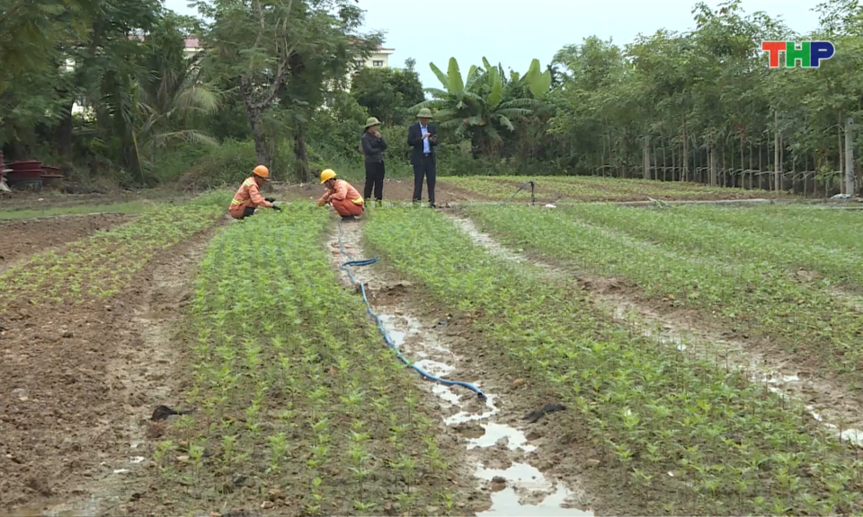 Kh&ocirc;ng để ảnh hưởng đến nhiệm vụ sản xuất của doanh nghiệp khi triển khai dự &aacute;n