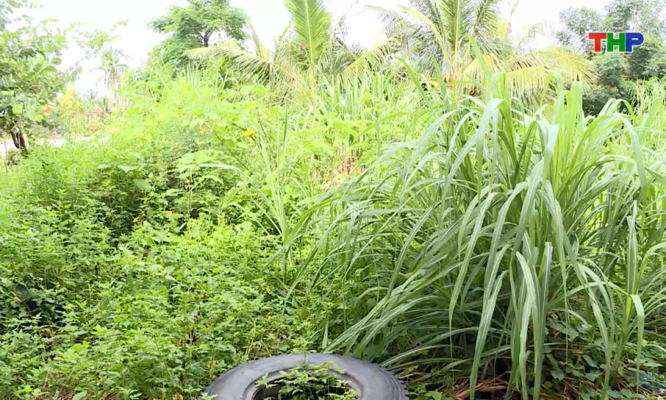 Ph&aacute;p luật v&agrave; cuộc sống: Vướng mắc trong chia t&aacute;ch thửa đất - Thực trạng v&agrave; giải ph&aacute;p