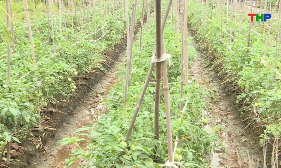 Bản tin thời sự s&aacute;ng (27/11/2025)