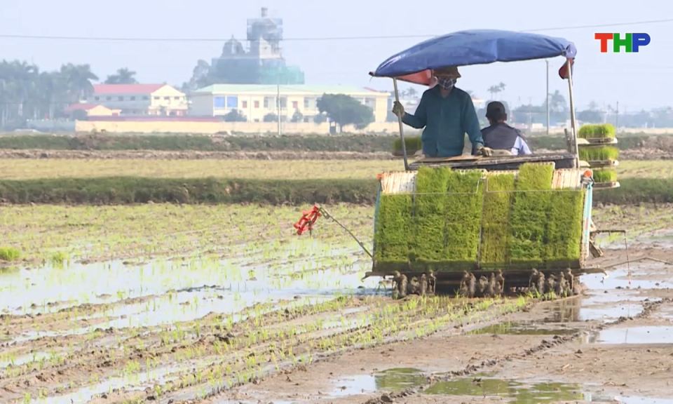 Bản tin tiếng Anh - Hai Phong News (27/11/2025)