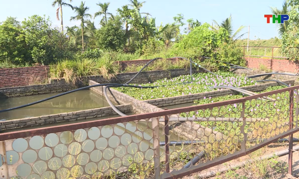 Pháp luật và cuộc sống: Nỗ lực đưa nước sạch đến với người dân khu vực ngoại thành