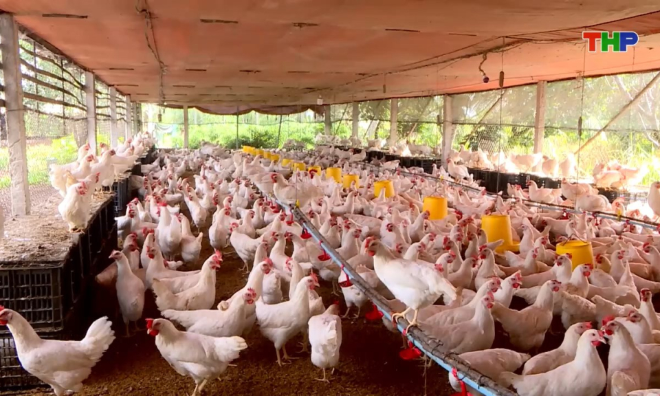 Bản tin thời sự trưa (30/11/2025)