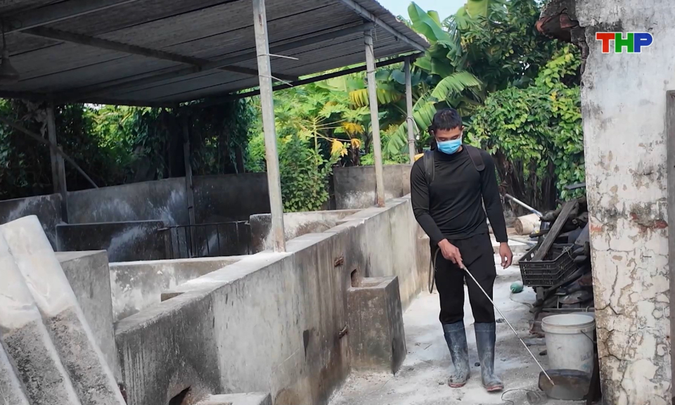 Tập trung phòng chống dịch tả lợn Châu Phi 