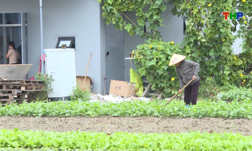 Bản tin thời sự sáng (04/12/2025)