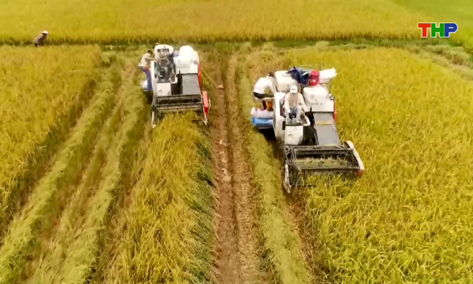 Bản tin tiếng Anh - Hai Phong News (03/12/2025)