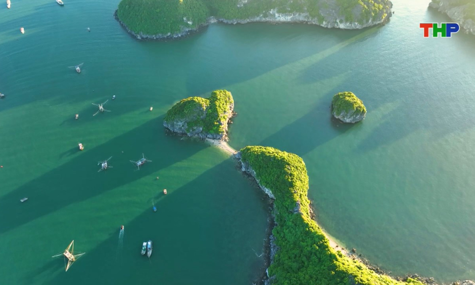 Vì cộng đồng: Giải pháp tạo việc làm cho lao động ngành du lịch