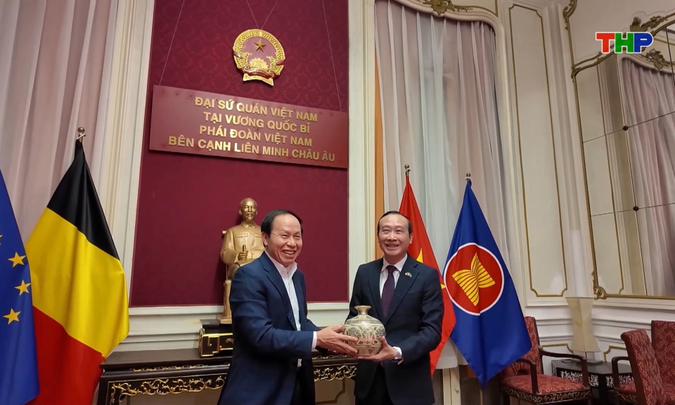 Đoàn công tác thành phố Hải Phòng làm việc với Đại sứ quán Việt Nam tại Bỉ