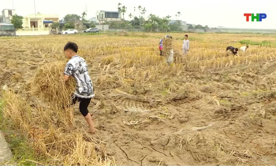 Bản tin thời sự trưa (05/12/2025)