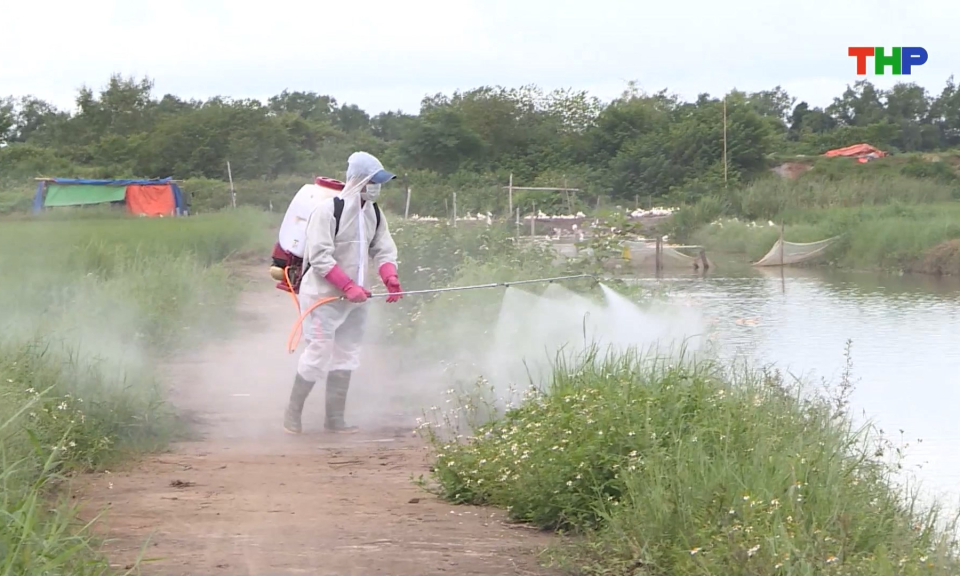 Chủ động phòng chống dịch cúm gia cầm