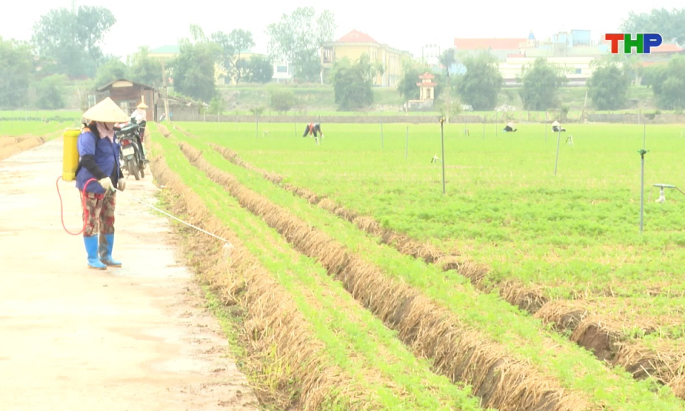 Bản tin tiếng Trung - 海防新闻 (06/12/2025)