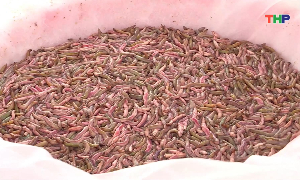 Được mùa “lộc trời”