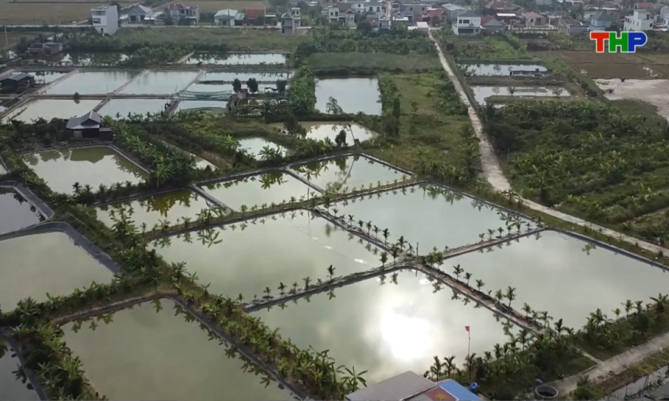 10 phút vàng (08/12/2025)