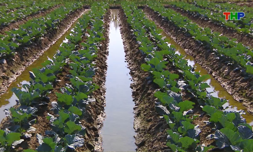 Bản tin thời sự sáng (10/12/2025)