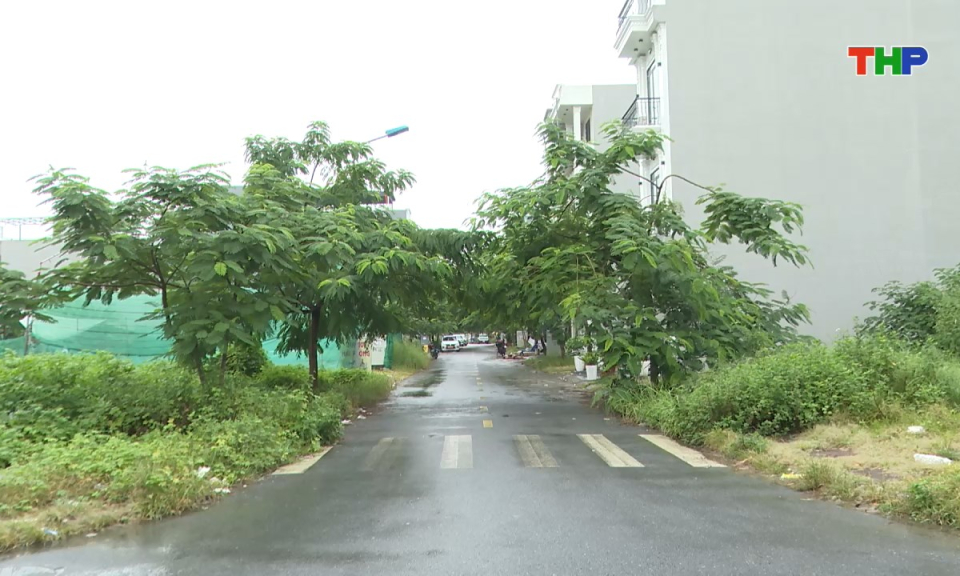 Hộp thư truyền hình: Đẩy nhanh tiến độ cấp giấy chứng nhận quyền sử dụng đất lần đầu