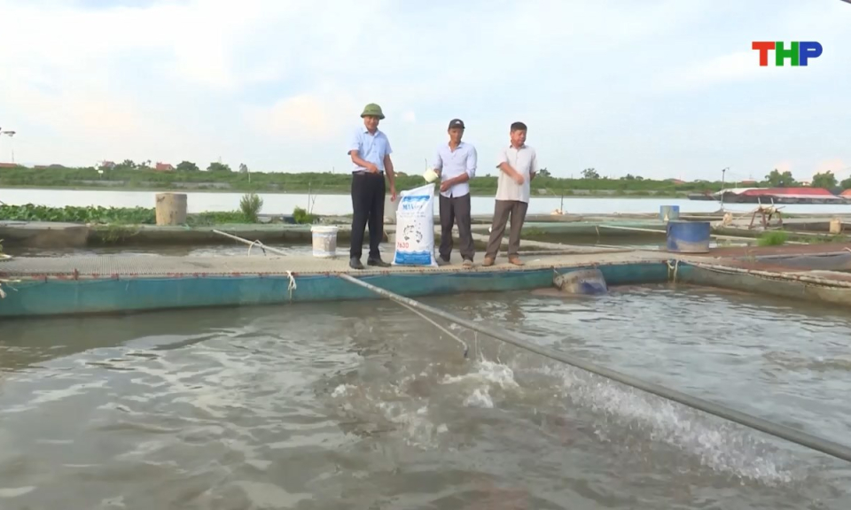 Bản tin thời sự sáng (11/12/2025)