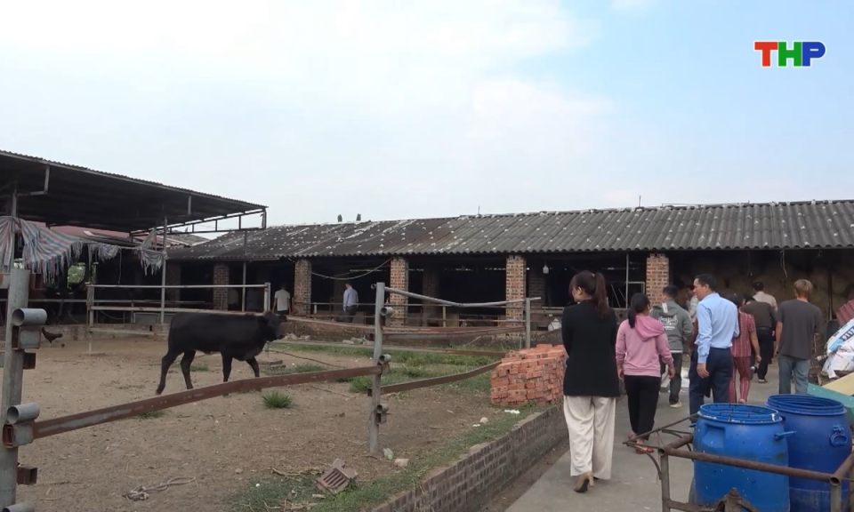 10 phút vàng (11/12/2025)