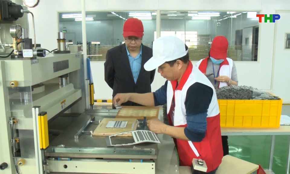 Bản tin tiếng Anh - Hai Phong News (11/12/2025)