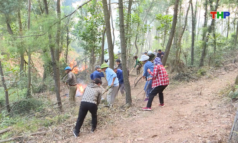 Diễn tập công tác phòng chống cháy rừng