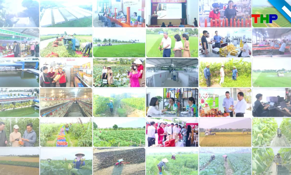 Phóng sự: Hợp tác xã chủ động đổi mới để phát triển