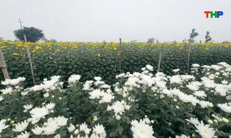 Bản tin thời sự sáng (14/12/2025)