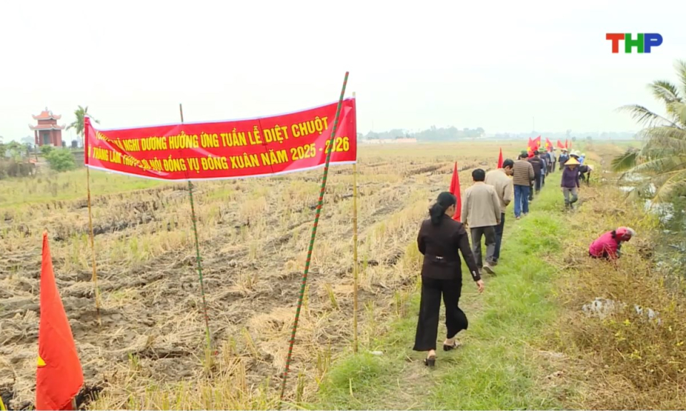Bản tin thời sự trưa (15/12/2025)