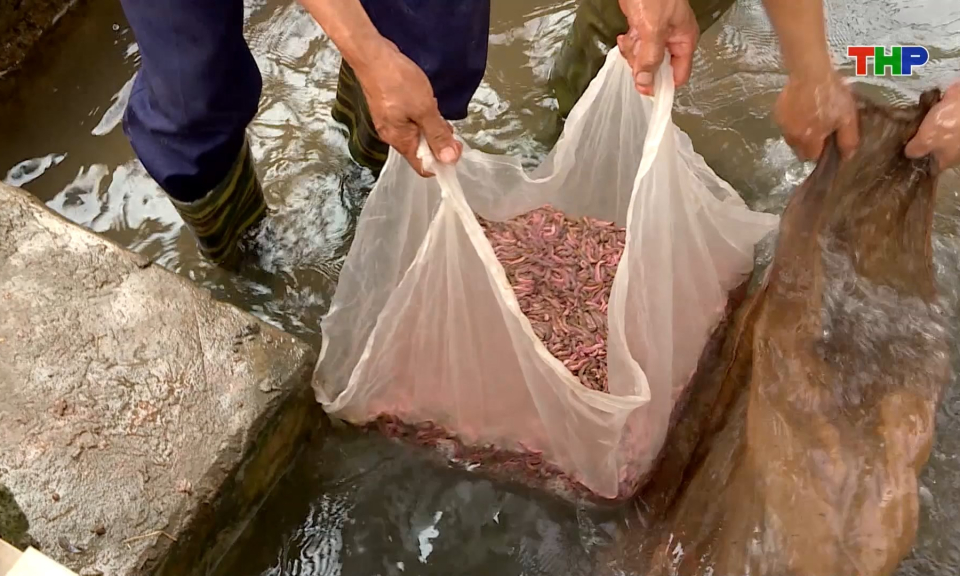 Ph&aacute;t triển sản phẩm n&ocirc;ng nghiệp gắn với lợi thế địa phương  