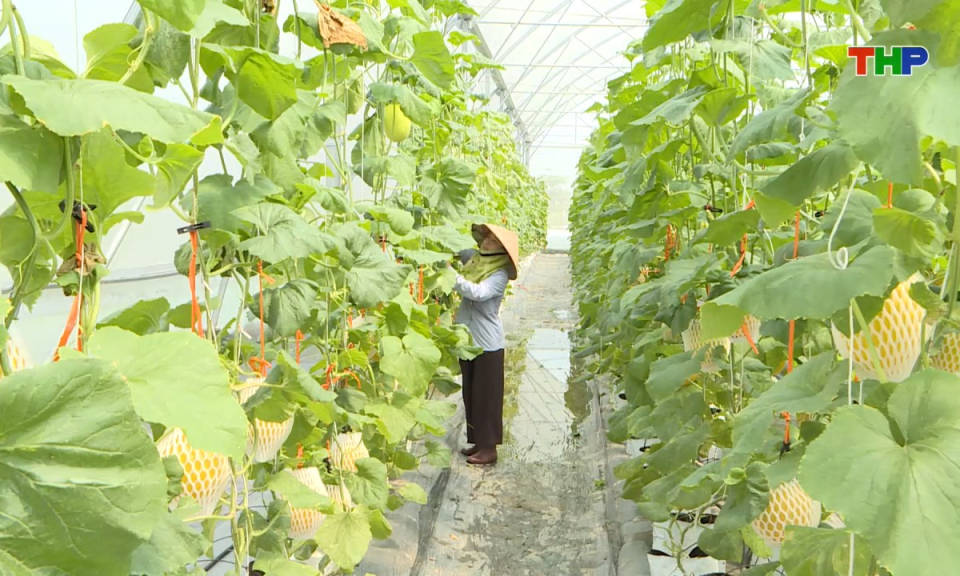 Phụ nữ Việt: Hiệu quả việc hỗ trợ vốn ph&aacute;t triển kinh tế cho hội vi&ecirc;n phụ nữ