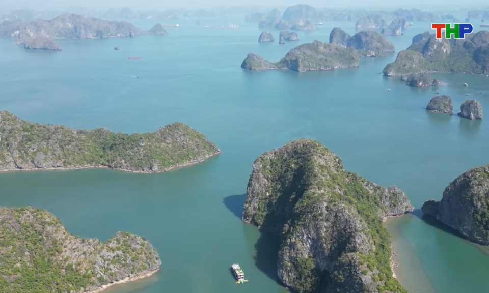 Phim t&agrave;i liệu: Phối hợp quản l&yacute; v&agrave; bảo vệ Di sản Vịnh Hạ Long - Quần đảo C&aacute;t B&agrave;