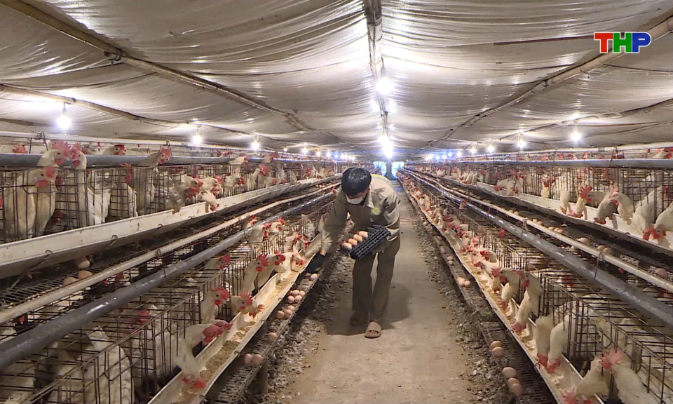 Bảo đảm nguồn cung thực phẩm dịp cuối năm