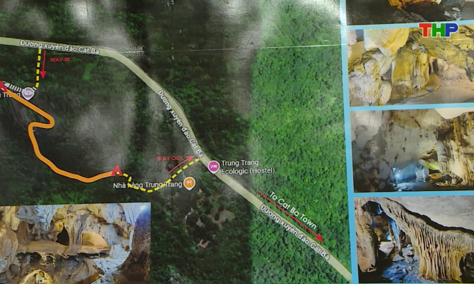 Ph&oacute;ng sự: Kh&aacute;m ph&aacute; vườn Quốc gia C&aacute;t B&agrave;